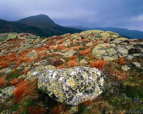 Mt Eisenhower, Presidential Range, White Mountain National Forest, NH (MF).jpg